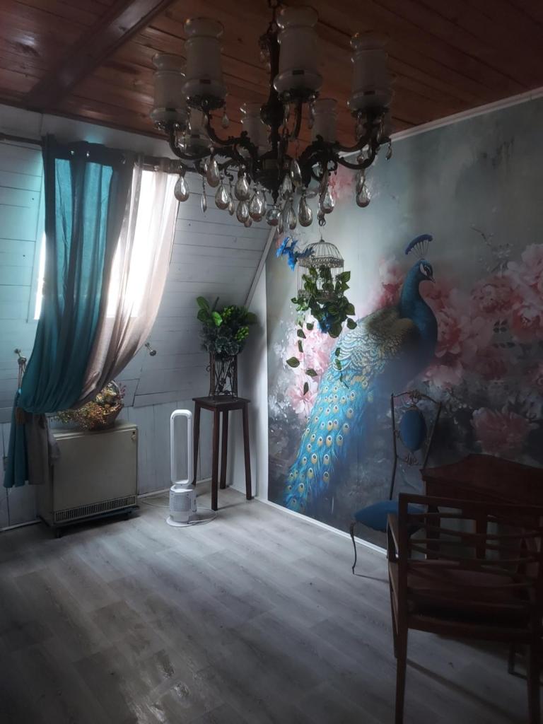 Peacock room photo 2