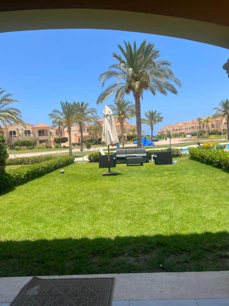 Lavisa bay north cost Egypt photo 4