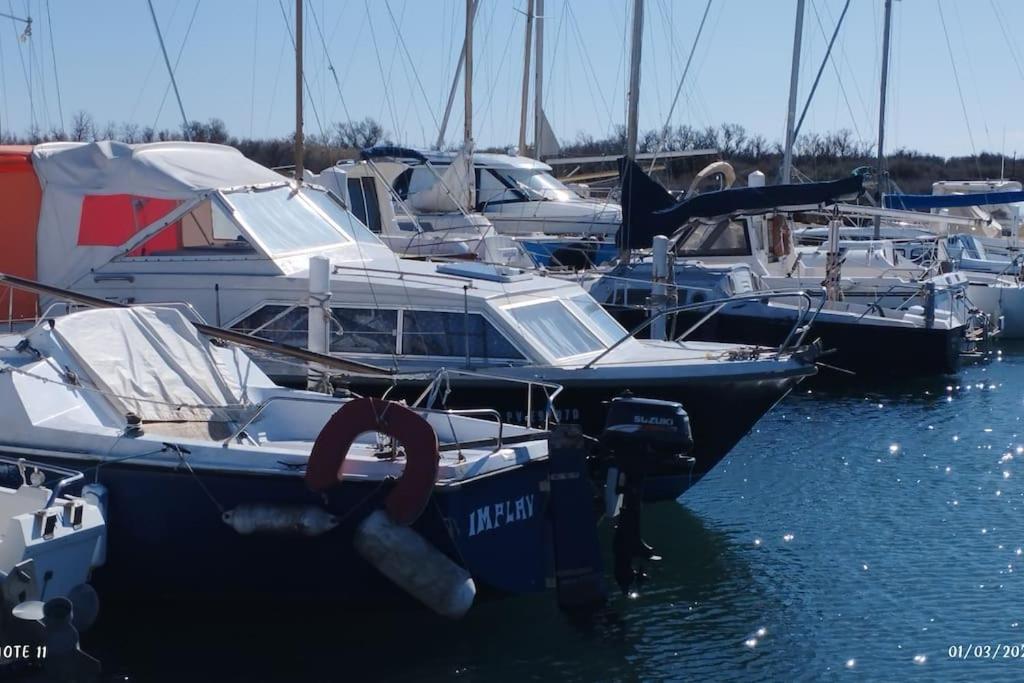Logement bateau entre terre sauvage et mer photo 2