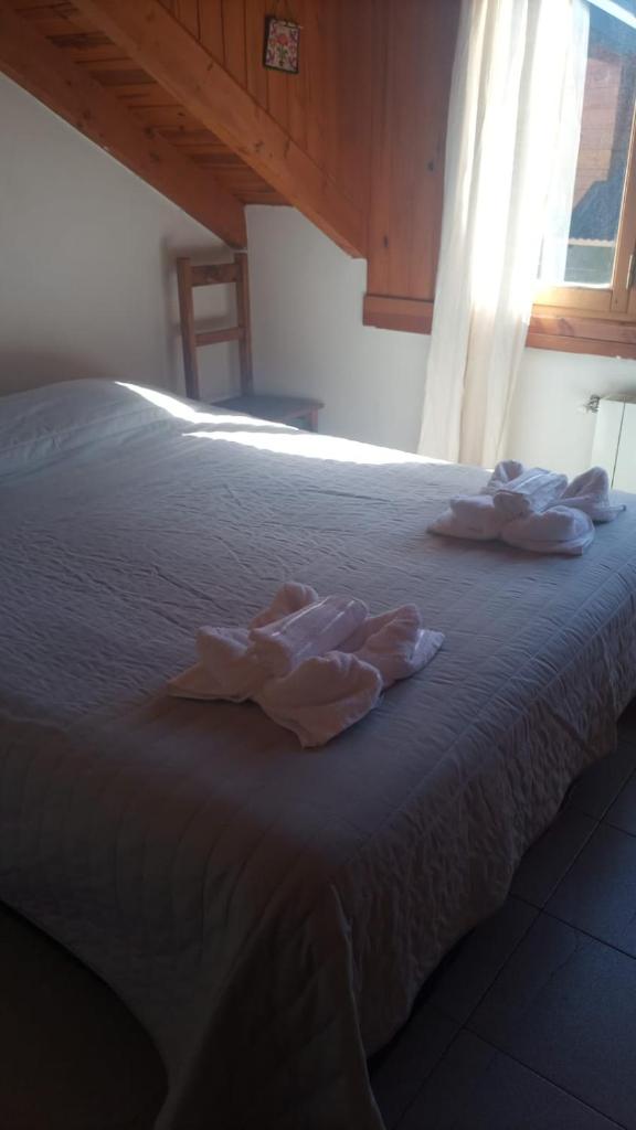 Hospedaje de Ensueño SMA photo 3