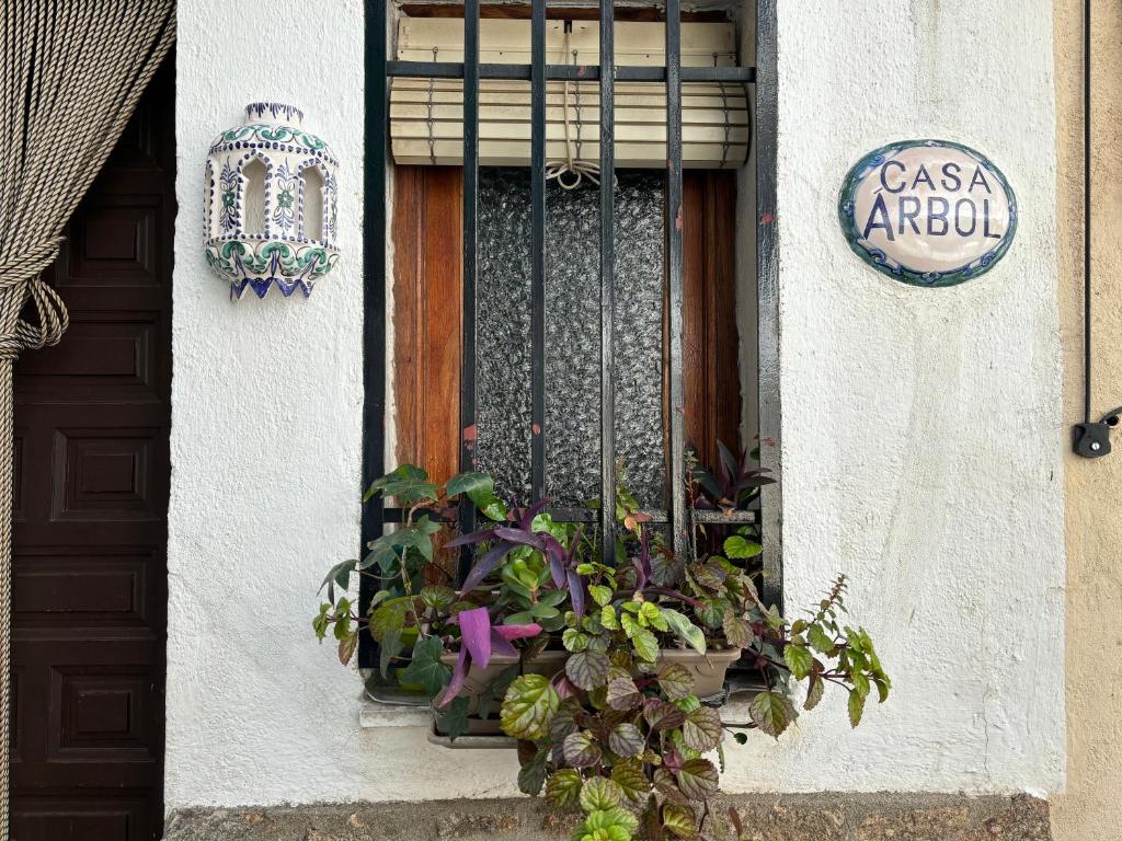 Casa Árbol photo 4