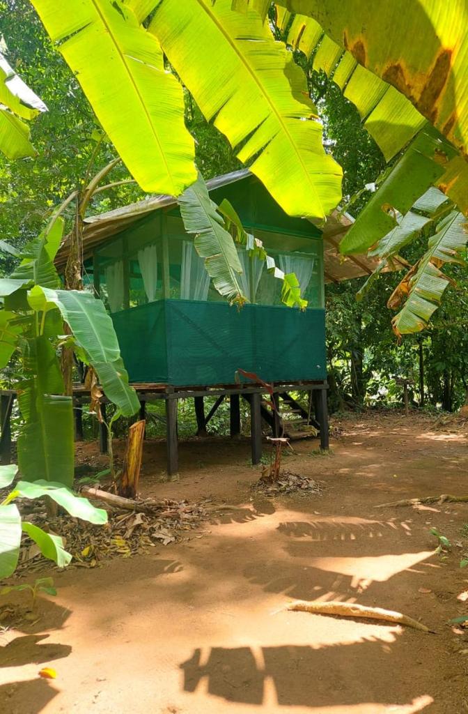 Rio Agujitas Eco-Jungle photo 1