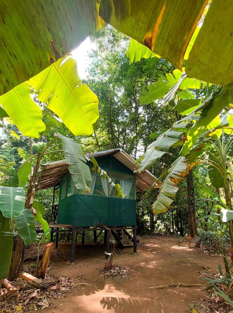 Rio Agujitas Eco-Jungle photo 2
