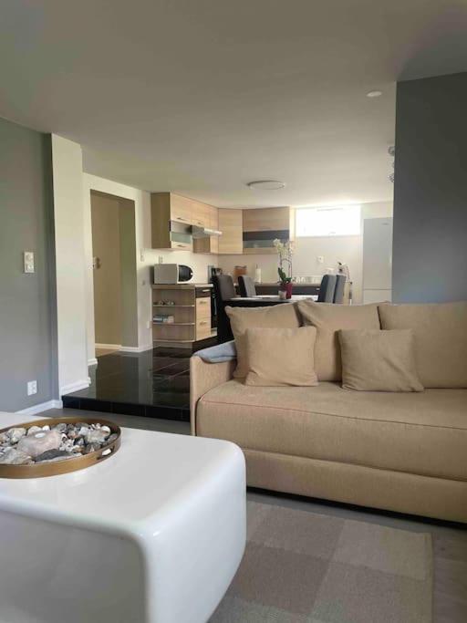 Cozy ground floor apartment in nature, by driving 300 metres of gravel road on top of the hill photo 4