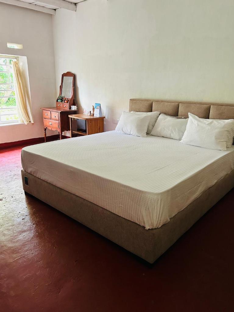 The Eco-Lodge