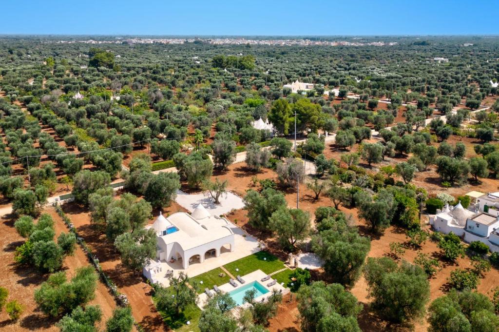 Villa Archi by Villa Plus photo 4