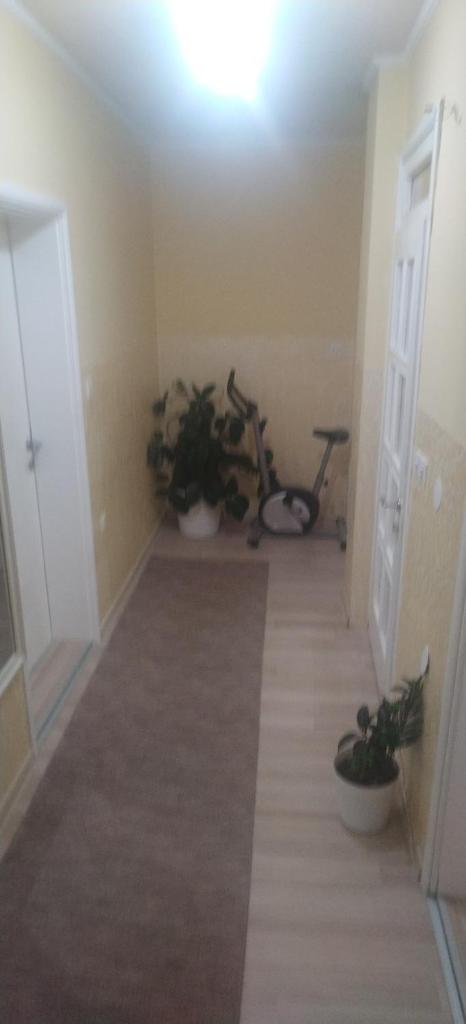 Apartman Lazovic photo 2