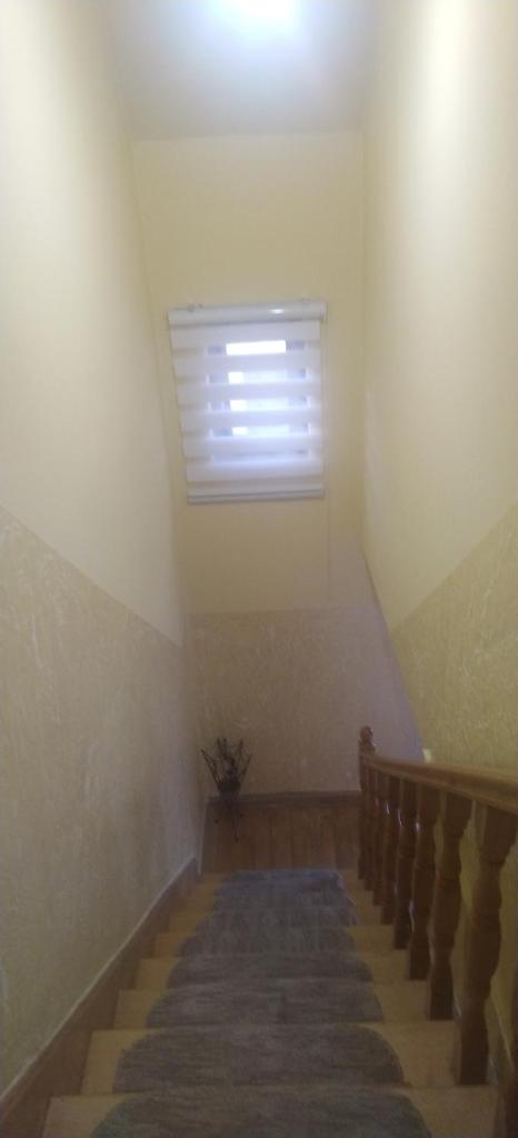 Apartman Lazovic photo 1