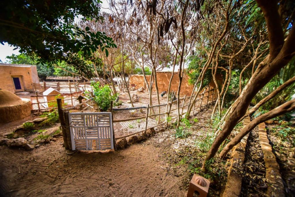 Dar Tawarta Guest House Dakhla photo 4