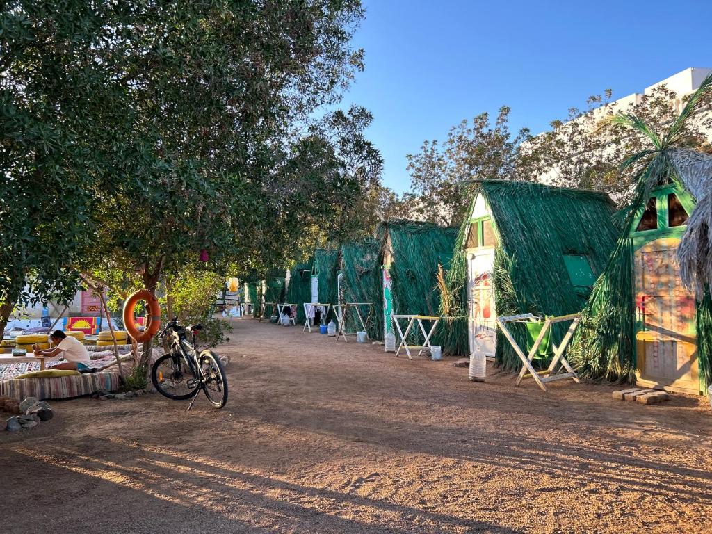 Elrayga Camp Dahab photo 1