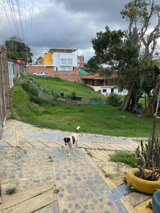 Finca de Descanso Villa Edelmira photo 1