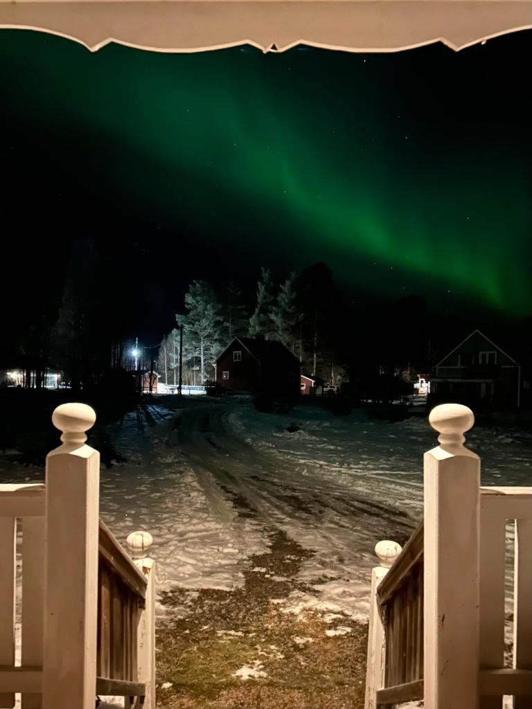 Swedish Lapland Home, Garden & Forest photo 1