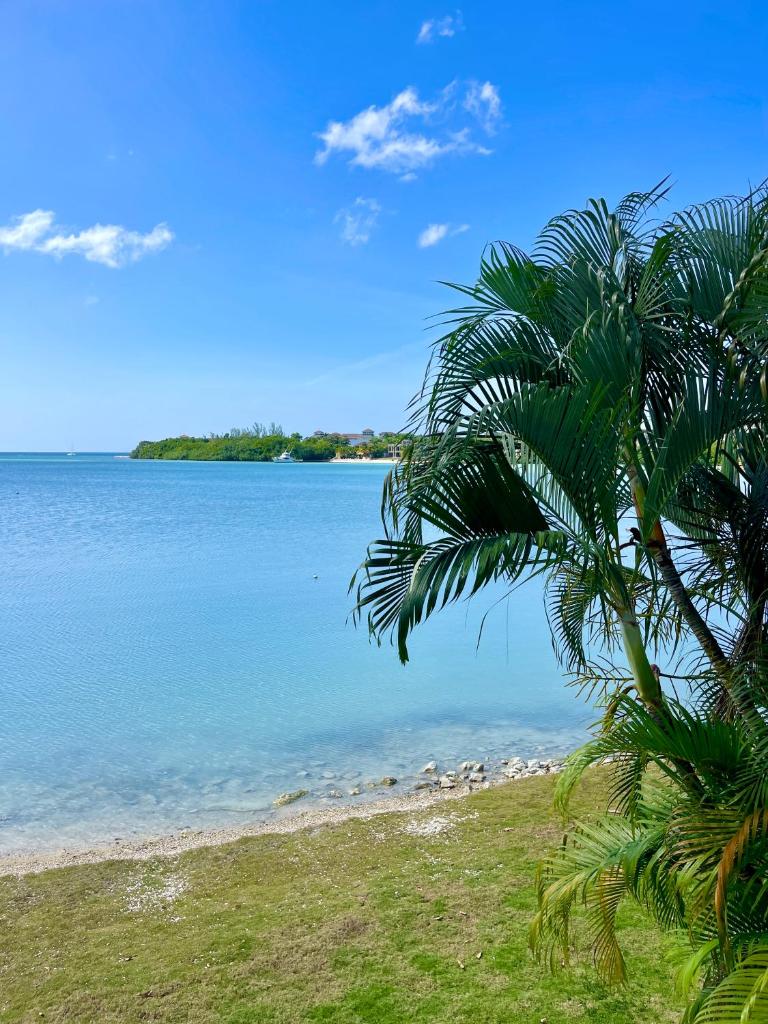 Luxury Apartments and Rooms,The Lagoons photo 1
