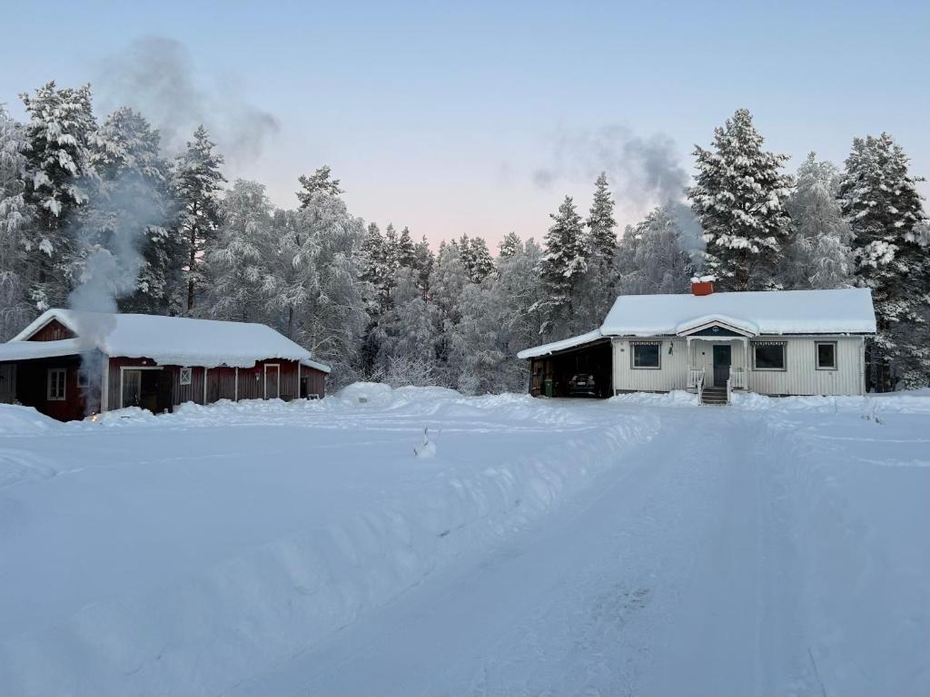 Swedish Lapland Home, Garden & Forest photo 2