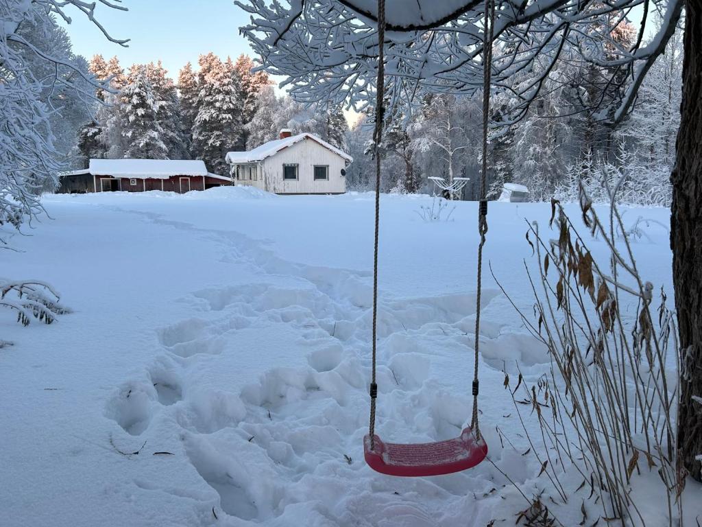 Swedish Lapland Home, Garden & Forest photo 3