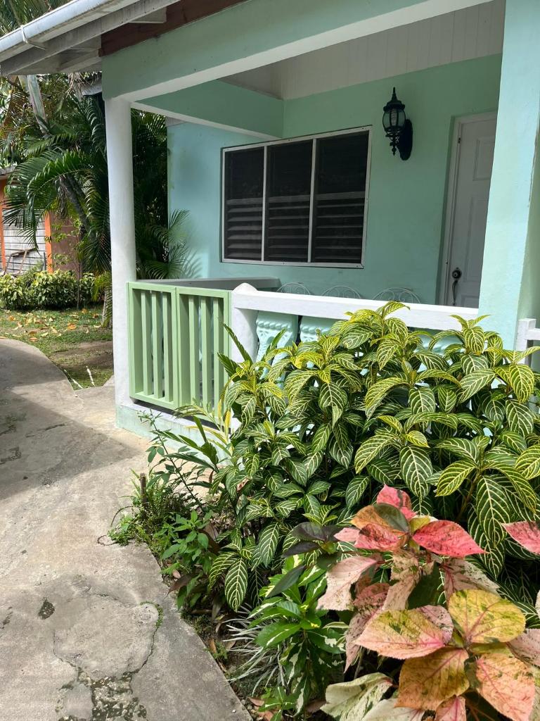 Andre's Guest House photo 1