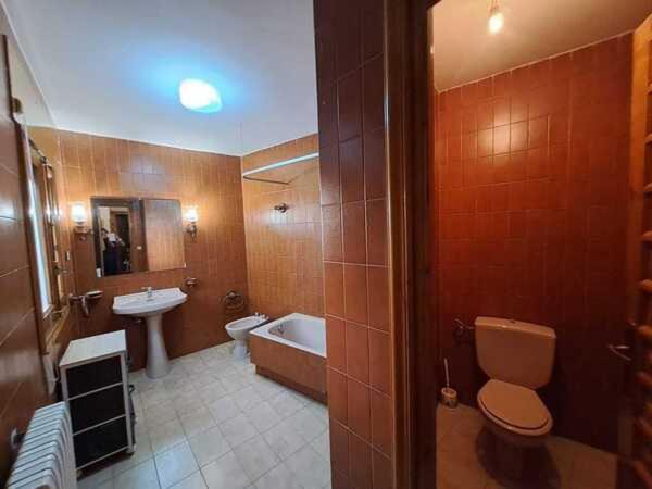 WAXSIMA Burgo de Osma photo 3