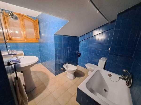 WAXSIMA Burgo de Osma photo 4