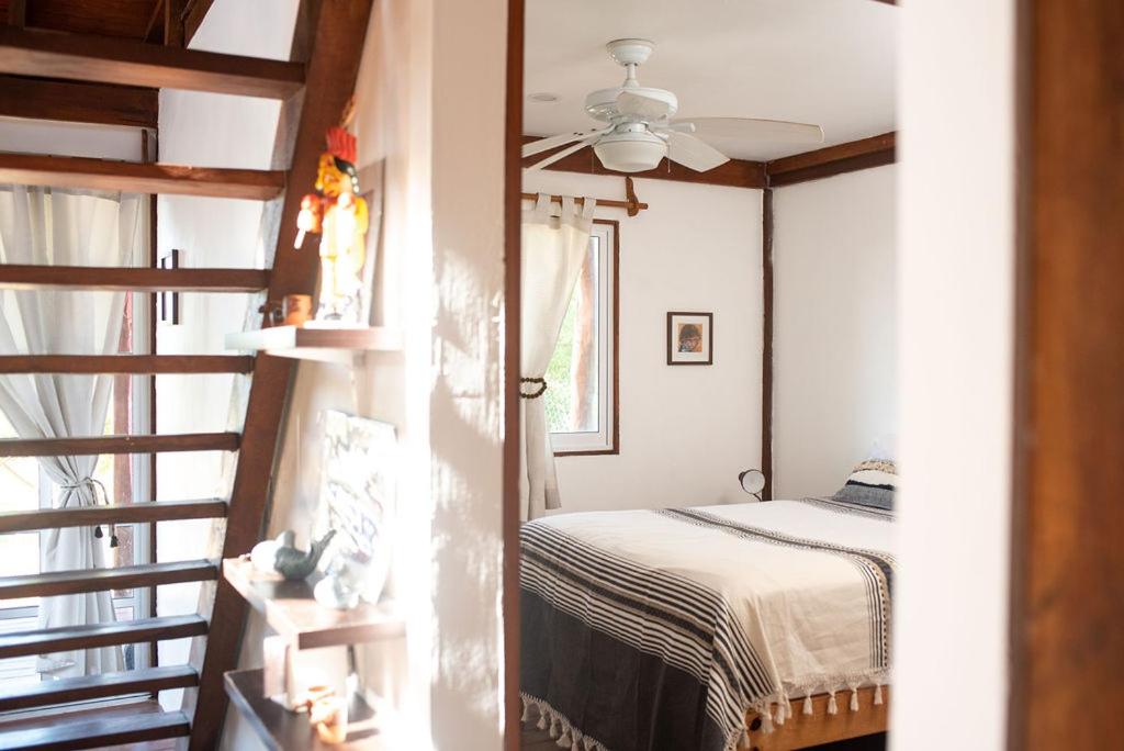 Casa Calamar photo 3