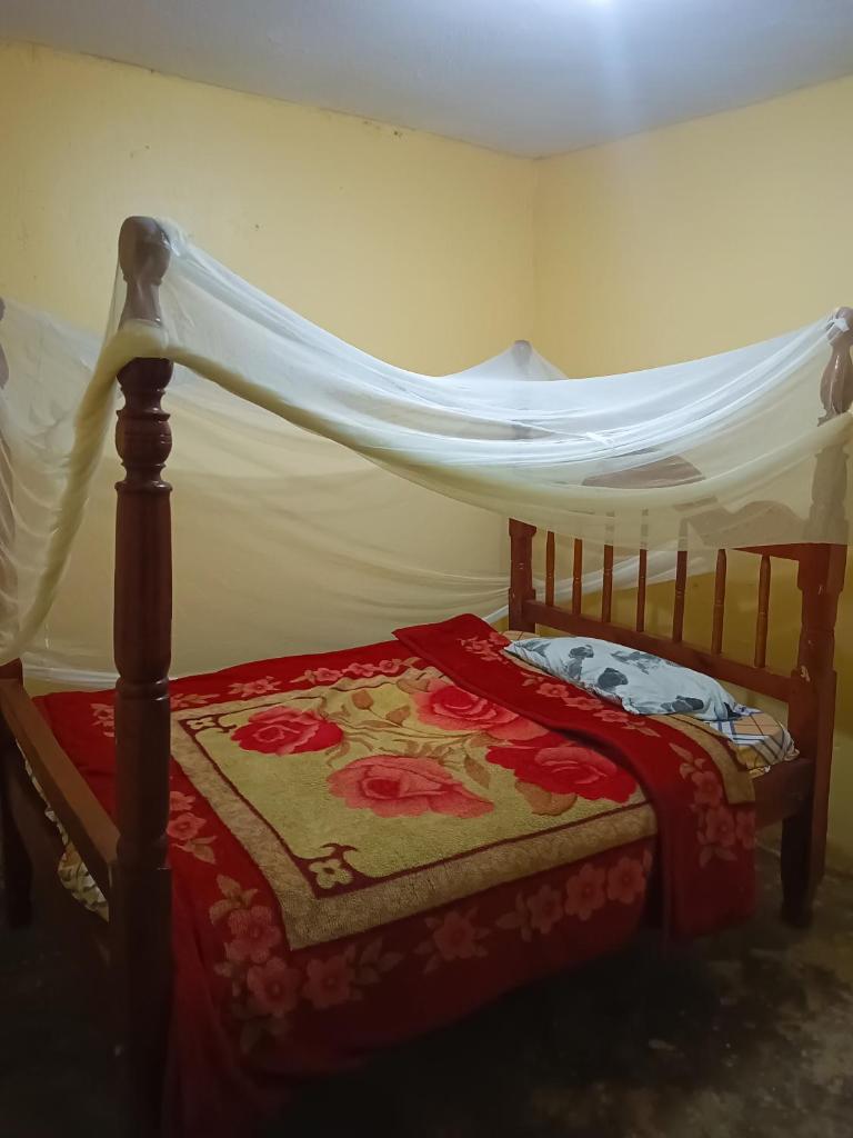 foxxies guest house