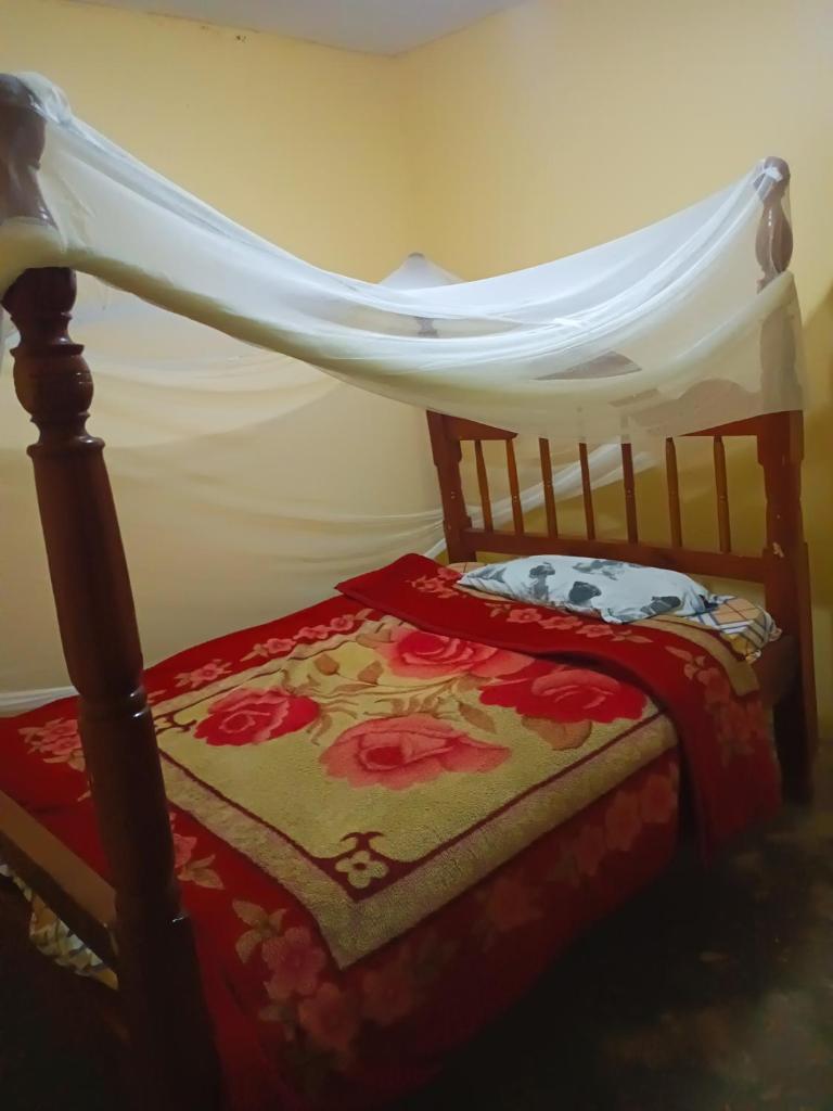 foxxies guest house photo 2