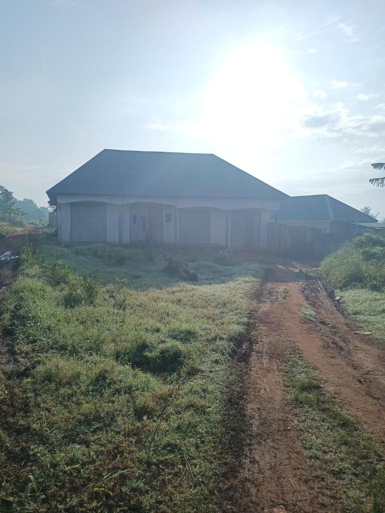 foxxies guest house photo 3