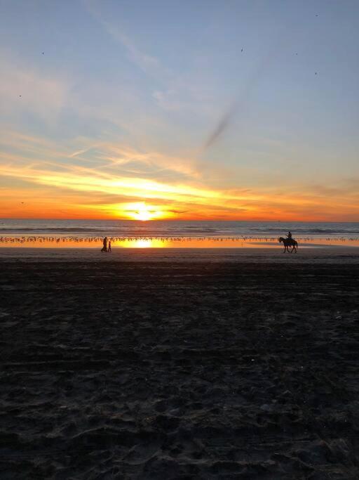 Be steps away from the beach - Downtown Rosarito photo 4