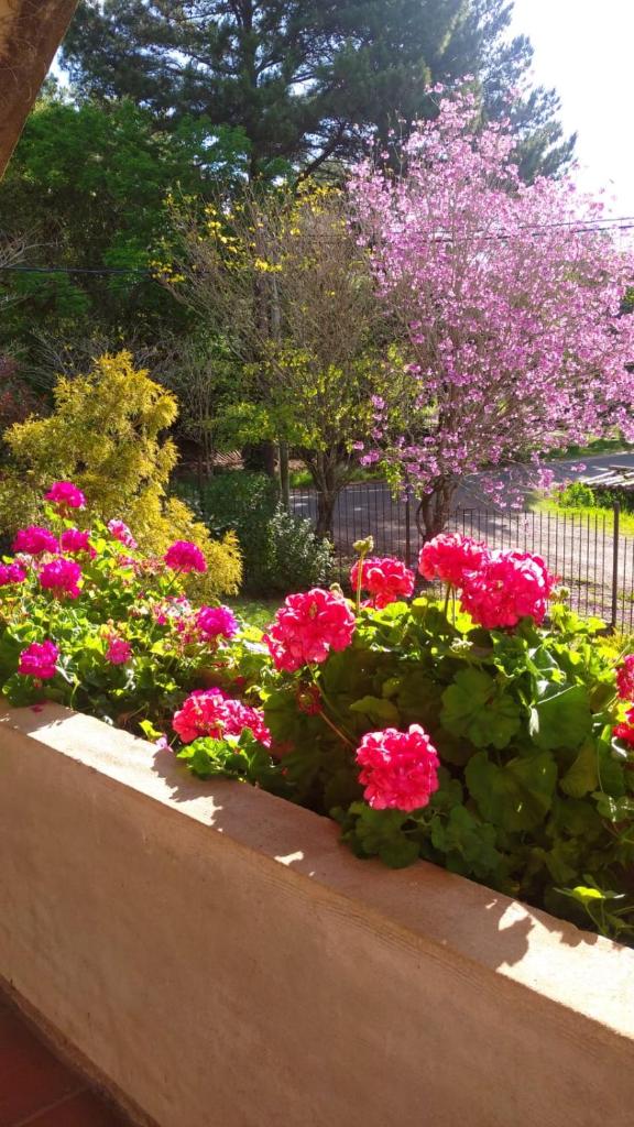 La Casona del Lago photo 3