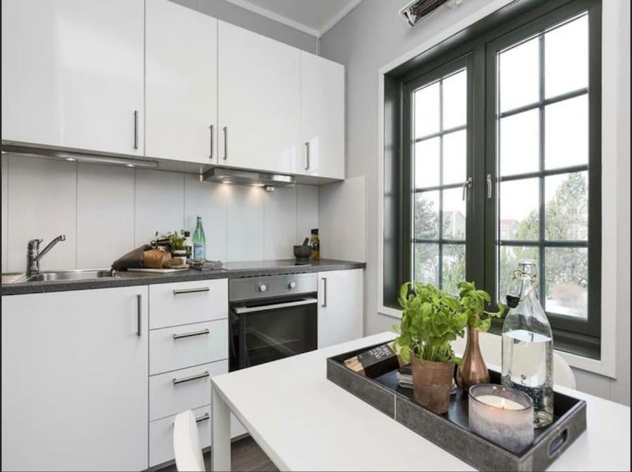 Studio Apartment Oslo AirPort photo 2