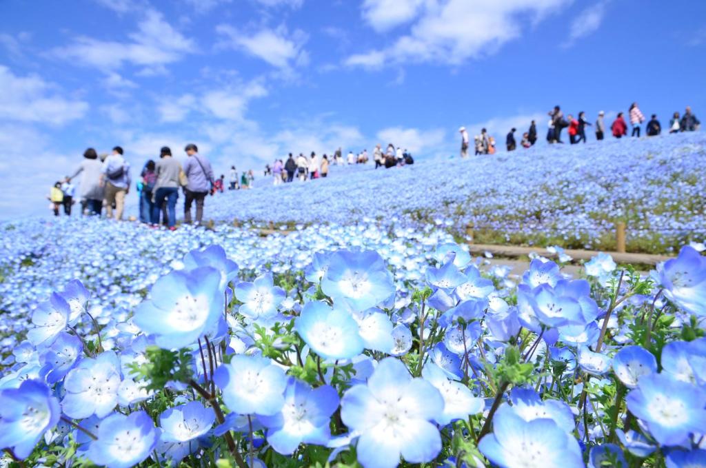 Culturally Unique JAPAN Experiences Tour by hinata Concierge photo 2