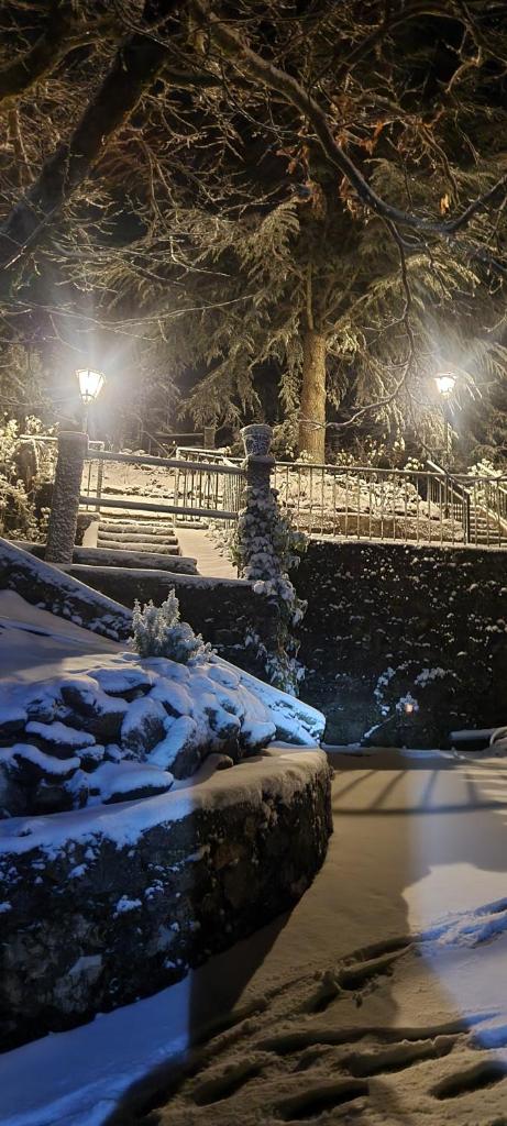 Estrella de nieve photo 1