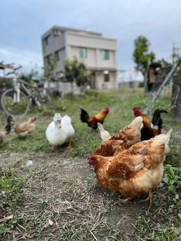 楠山民宿Nanshan Homestay photo 2