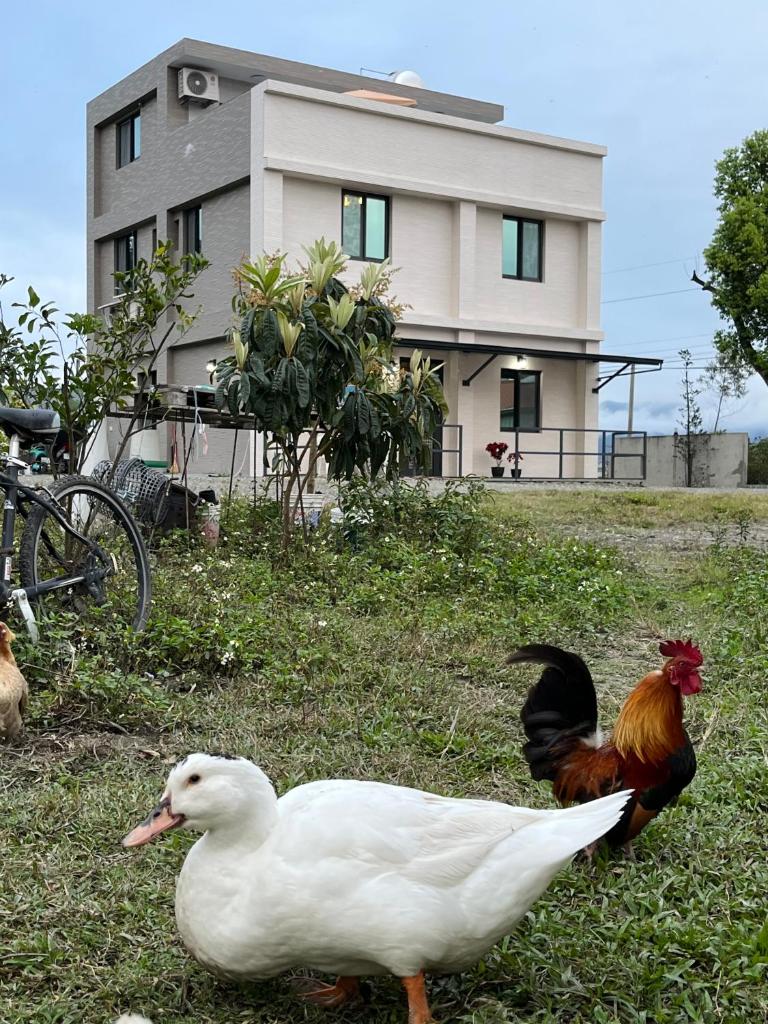 楠山民宿Nanshan Homestay photo 3