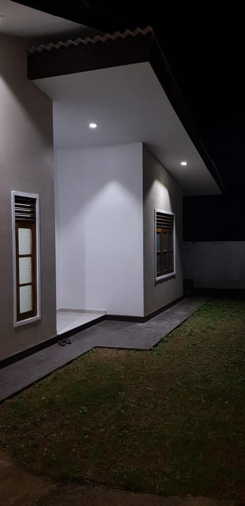 Archie Homes photo 4