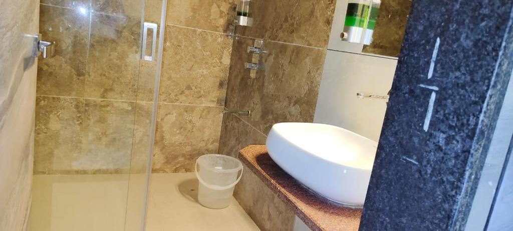 hotel badri palace photo 2