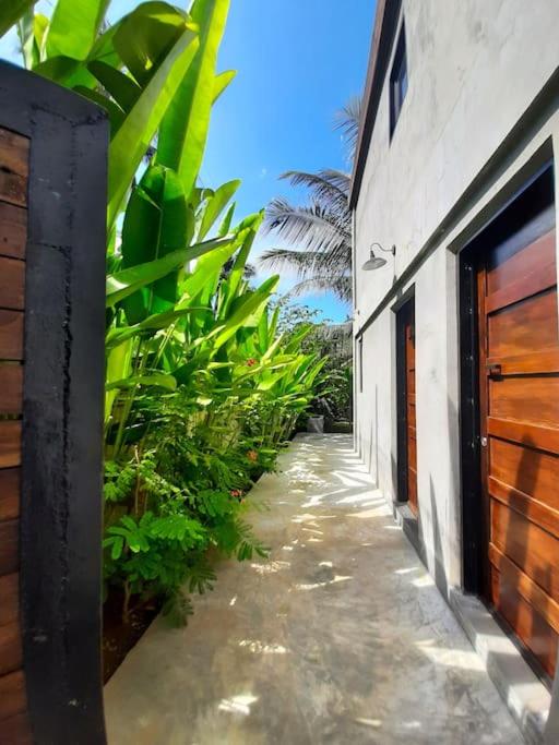 EL NIDO, Lugadia, Concrete House with Small Garden photo 1