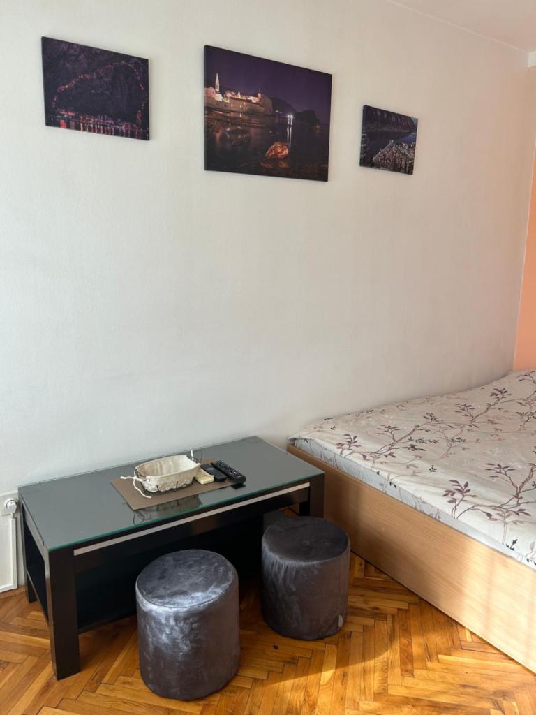 Podgorica Guesthouse(free transport to bus station) photo 4