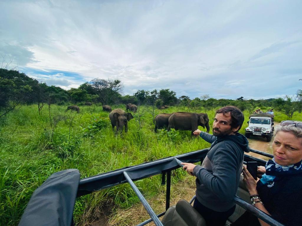 Minneriya Jeep Safari photo 4