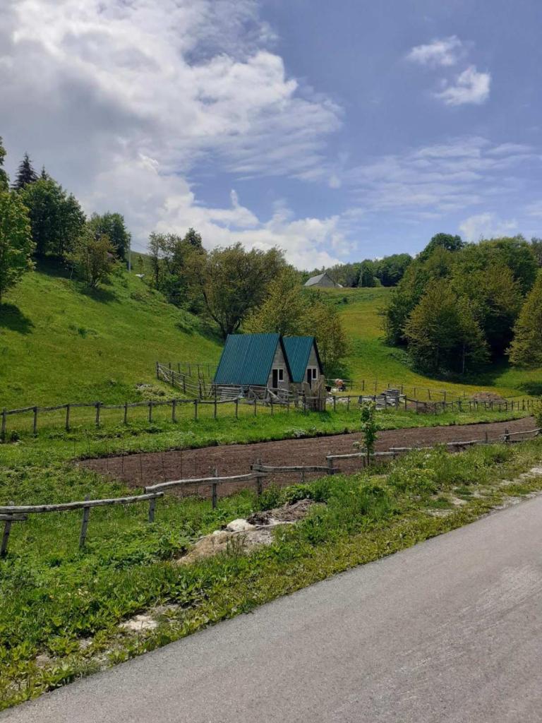 CAMPING ZELENI GAJ (GREEN FOREST) photo 2