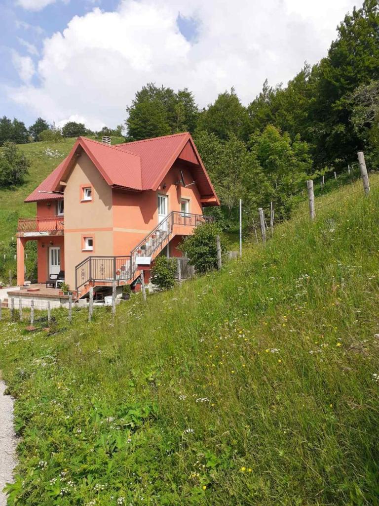 CAMPING ZELENI GAJ (GREEN FOREST) photo 4