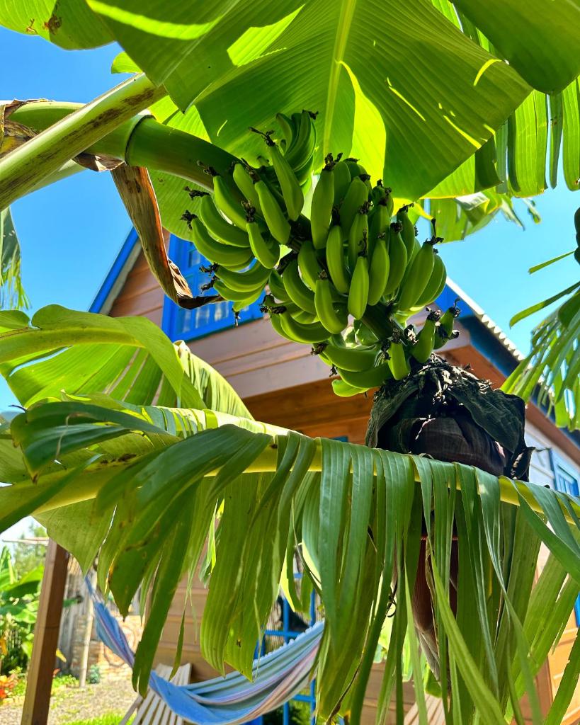 Cabana ecoar photo 2