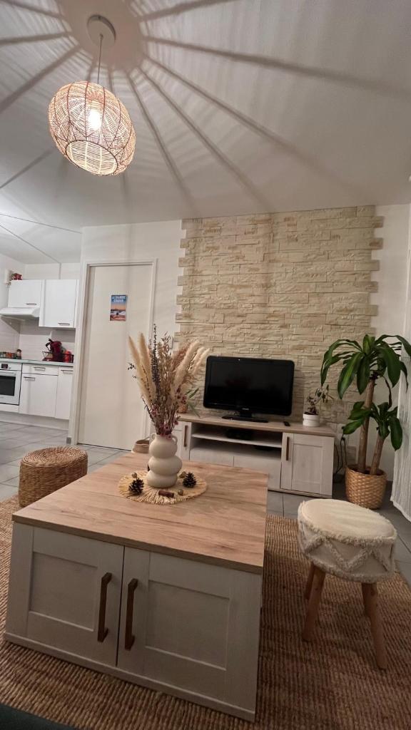 Appartement T2 cosy et calme photo 2