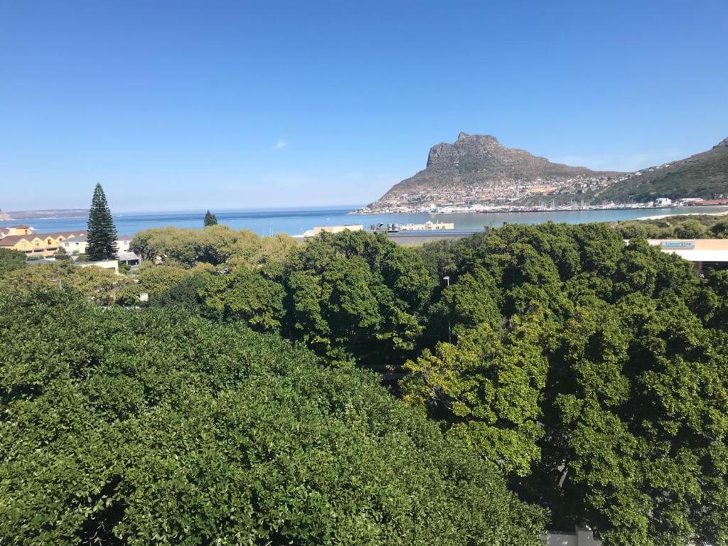 Chapman`s Peak, Loft mit Sea-und Mountainview photo 2