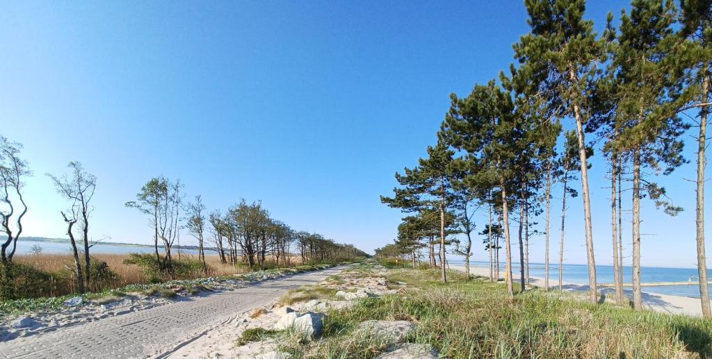 Osada Skandia Kopań photo 2