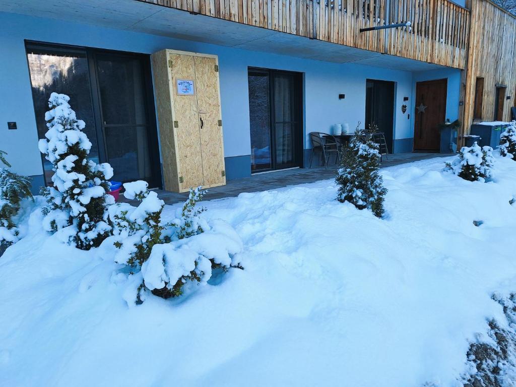 MottHof photo 1