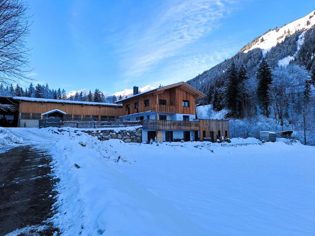 MottHof