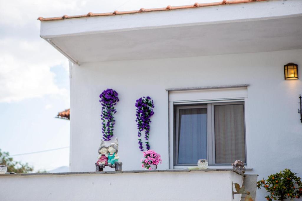 Titika House photo 3