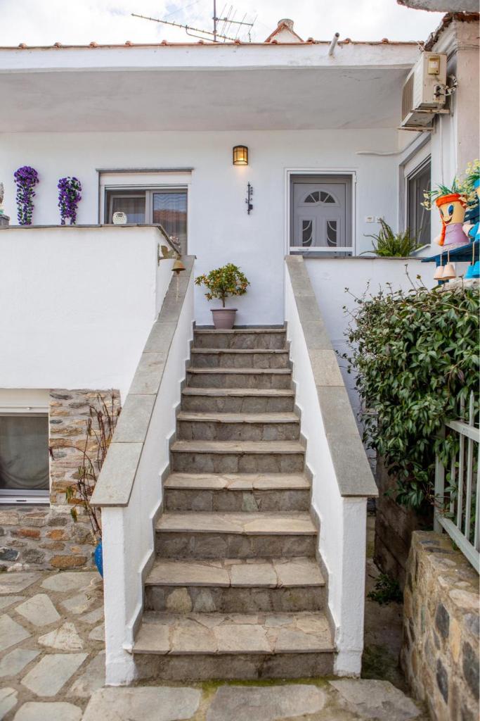 Titika House photo 2