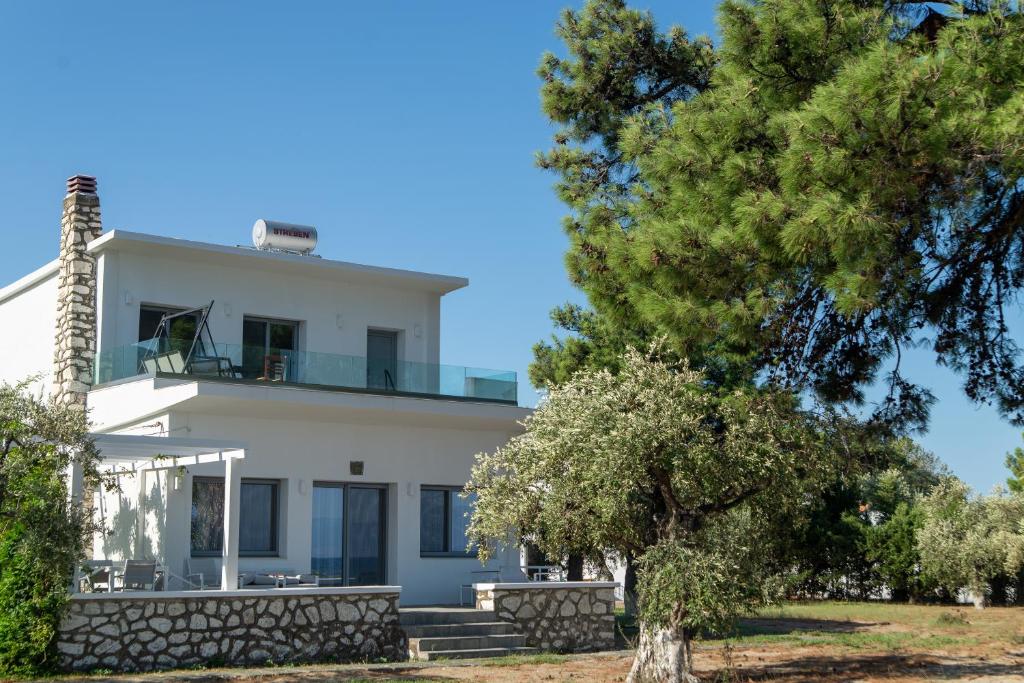 VILLA KASABLANCA photo 4