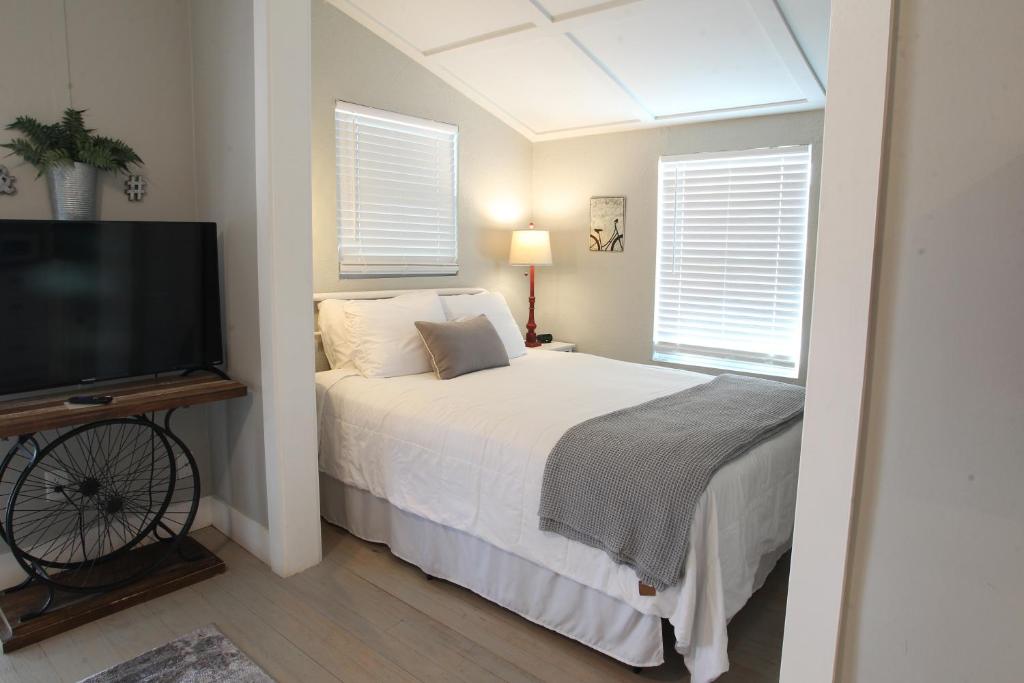 Cozy Apartment Overlooking Downtown Dunedin and Pioneer Park photo 1